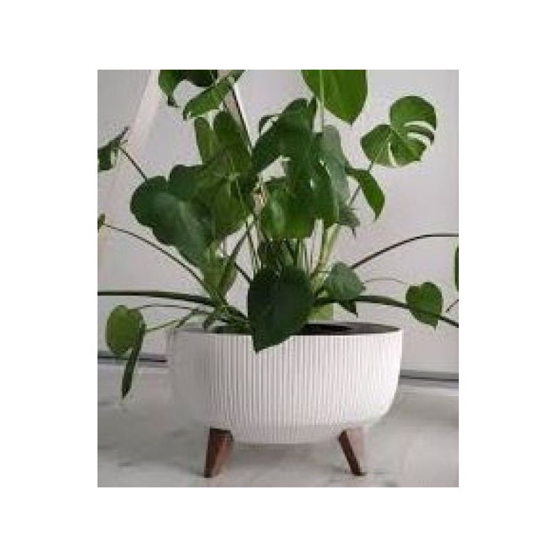 CVJETNJAK OVAL ROMA JUMPER 43cm BIJELI Cijena