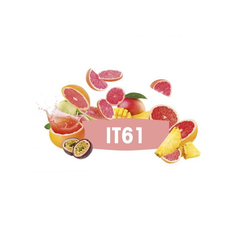 DSM KVASAC FERMIVIN IT61 500G Cijena