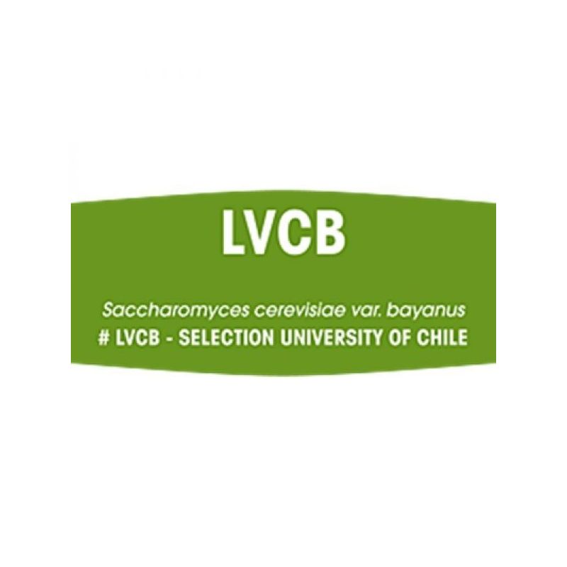 DSM KVASAC FERMIVIN LVCB 100G Cijena
