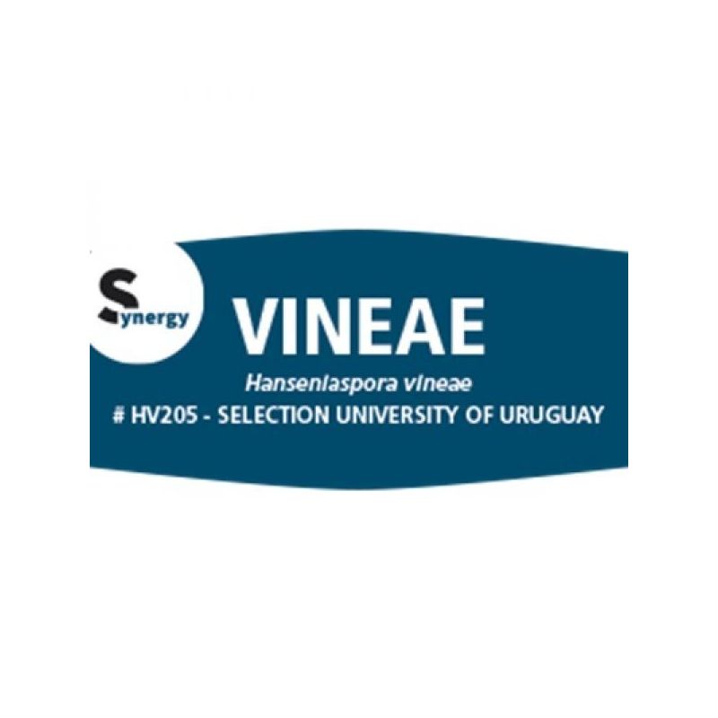 DSM KVASAC FERMIVIN VINEAE 500G Cijena