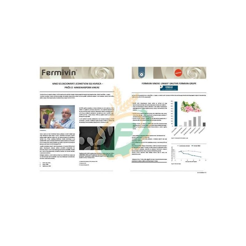 DSM KVASAC FERMIVIN VINEAE 500G Cijena Akcija