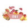 DSM KVASAC FERMIVIN IT61 500G