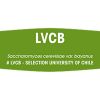 DSM KVASAC FERMIVIN LVCB 100G